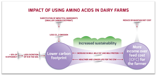 Impact of Using Amino Acids in Dairy Farms